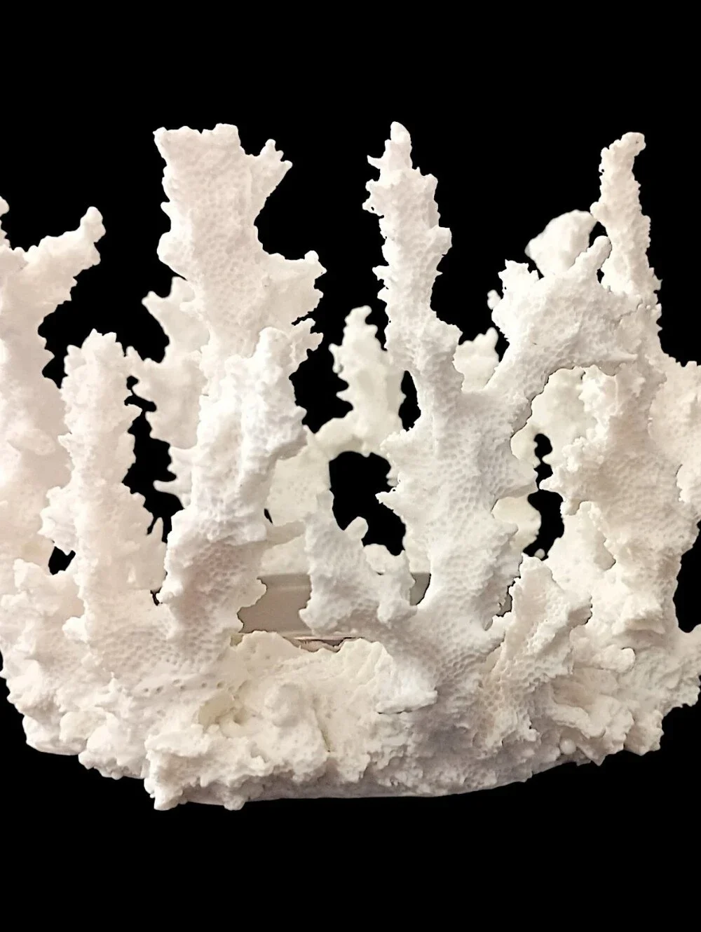 Pottery Barn Faux Coral Candle Holder Pillar White Resin Beach House Coastal